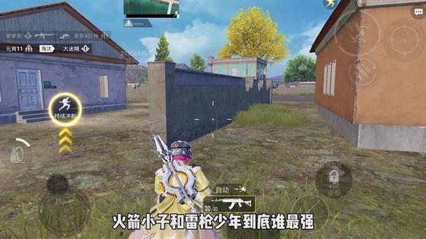 和平精英单透视